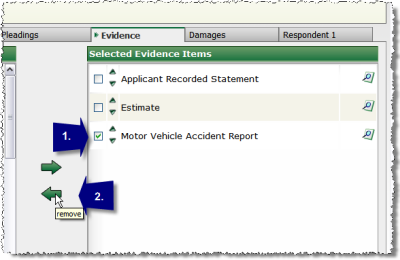 Removing Selected Evidence Items